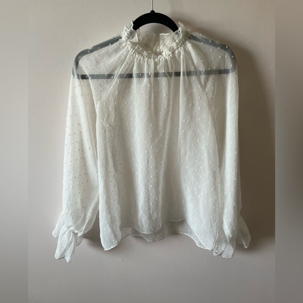 White Ruffled Sheer Collar Blouse